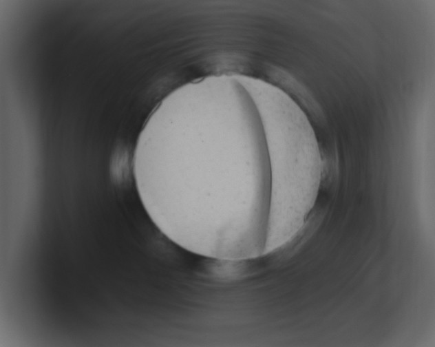 X0000100910142200807151146