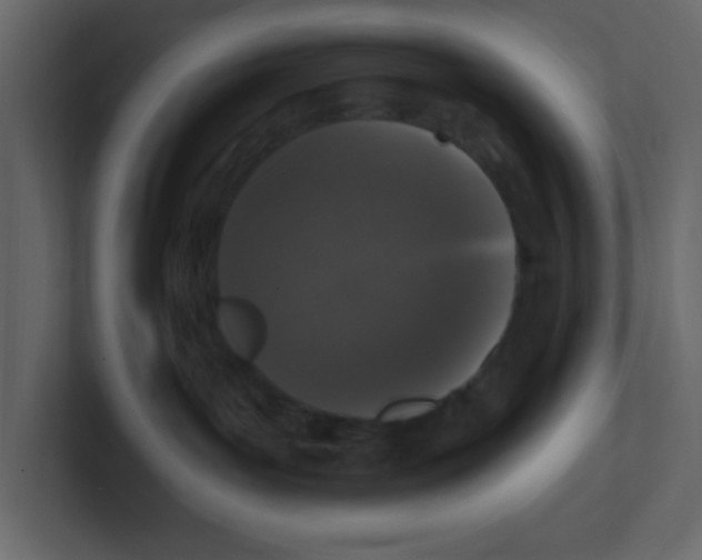 X0000100910143200807151146