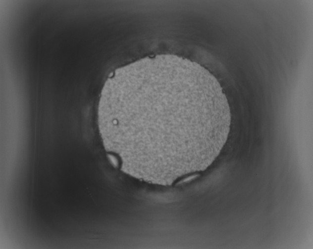 X0000100910144200807151146