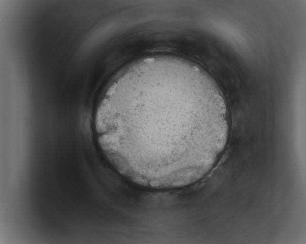 X0000100910146200807151146