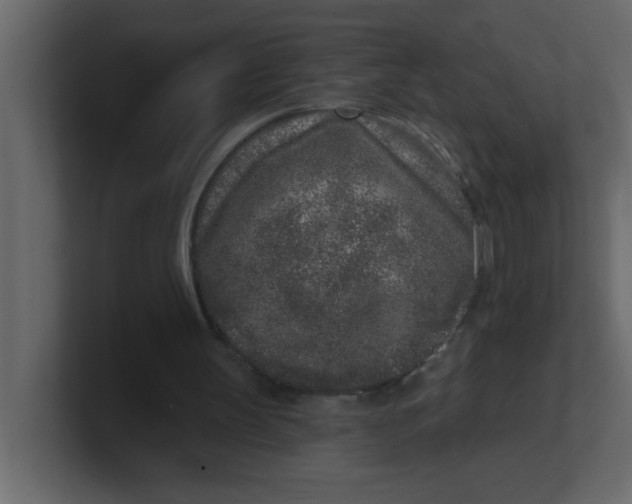 X0000100910147200807151146