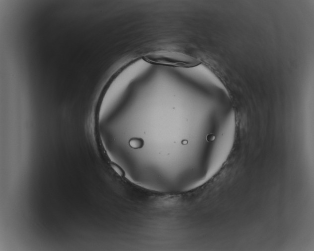 X0000100910148200807151146