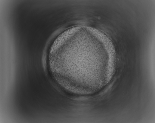 X0000100910149200807151146