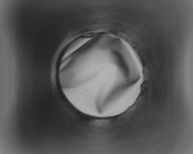 X0000100910150200807151146