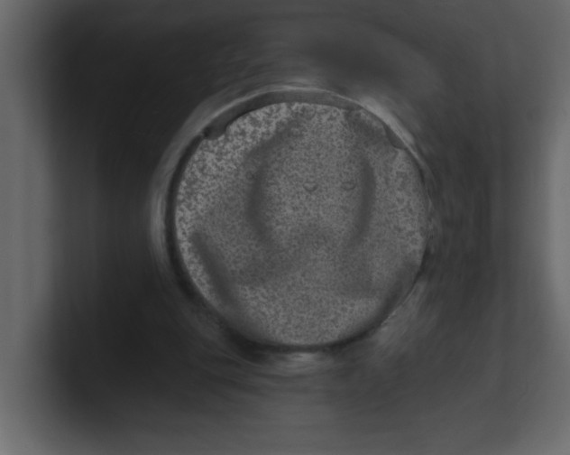 X0000100910151200807151146