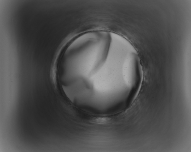 X0000100910152200807151146