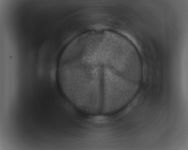 X0000100910153200807151146