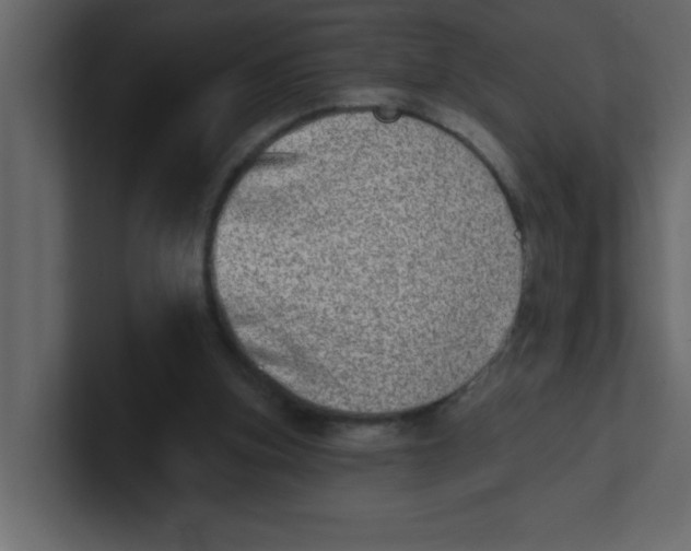 X0000100910155200807151146