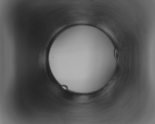 X0000100910156200807151146