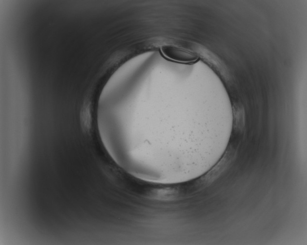 X0000100910158200807151146