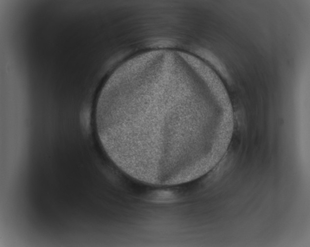 X0000100910159200807151146