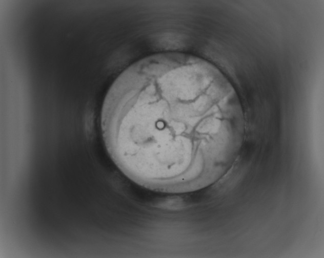 X0000100910162200807151146