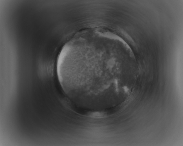 X0000100910163200807151146