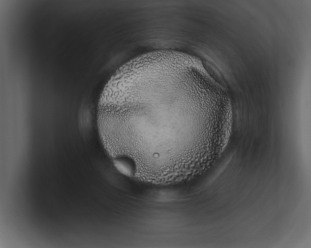 X0000100910165200807151146