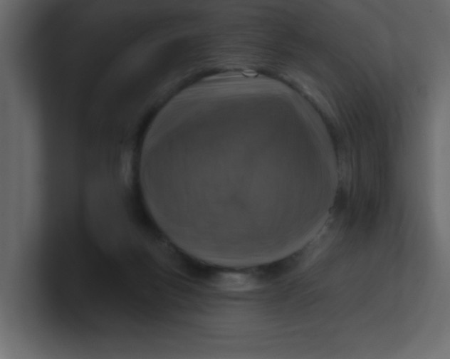 X0000100910167200807151146