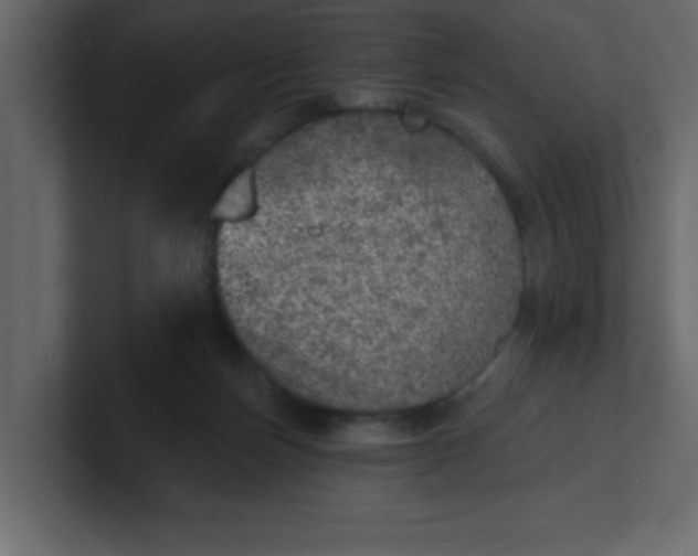 X0000100910171200807151146