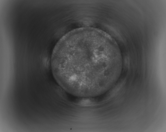 X0000100910177200807151146