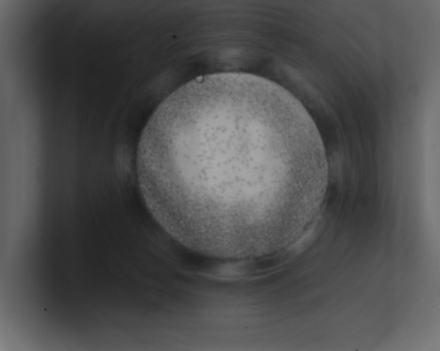 X0000100910178200807151146