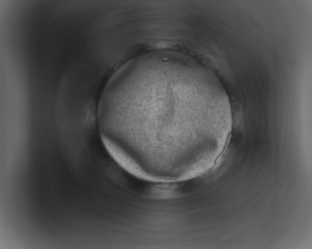 X0000100910179200807151146