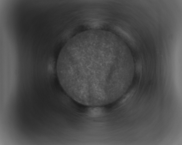 X0000100910181200807151146