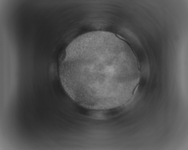 X0000100910182200807151146