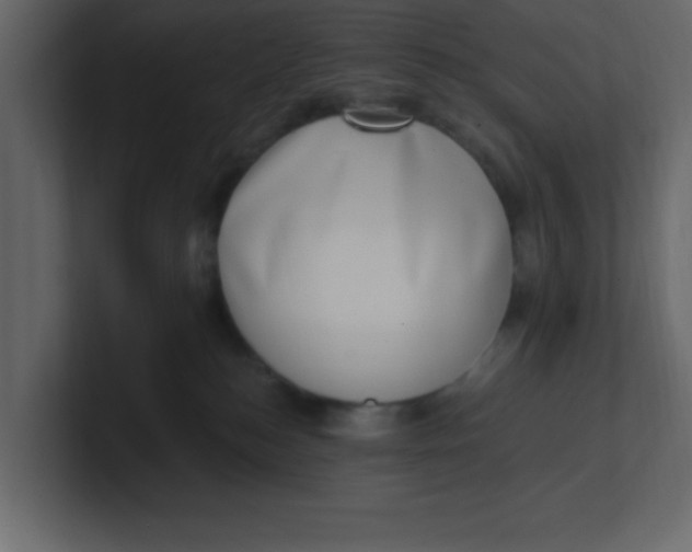 X0000100910184200807151146