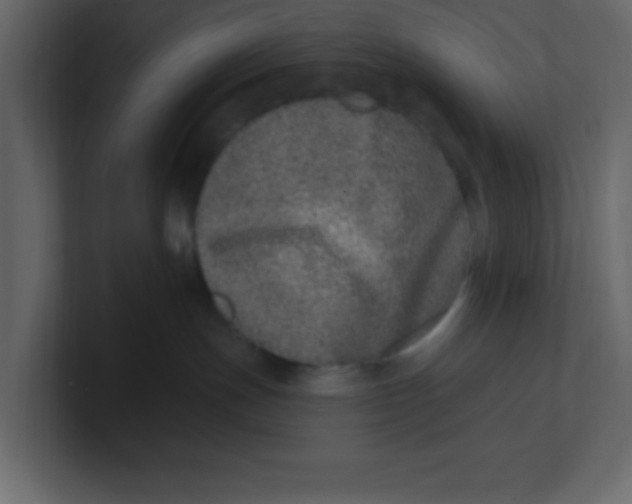 X0000100910191200807151146