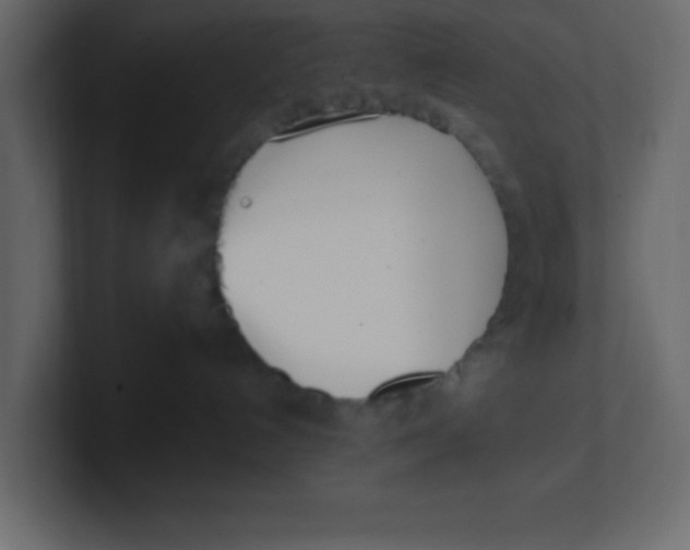 X0000100910192200807151146