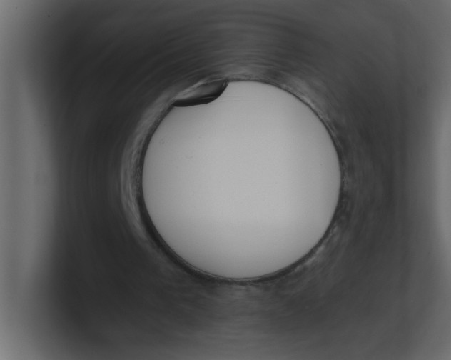 X0000100910193200807151146