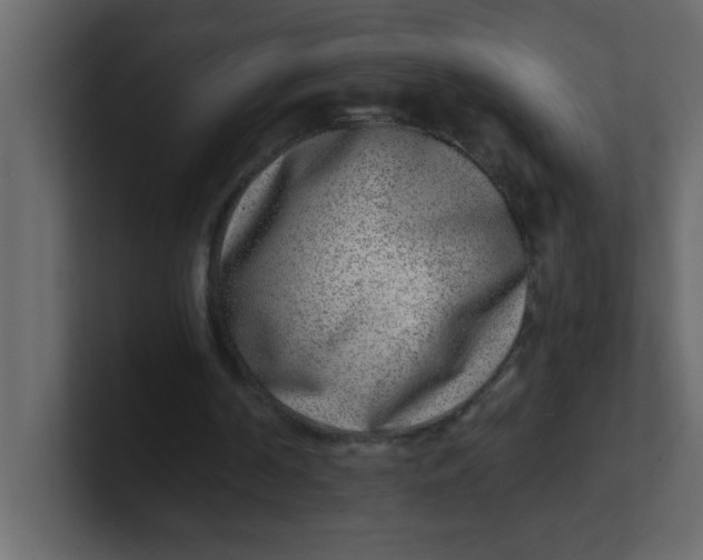 X0000100910194200807151146