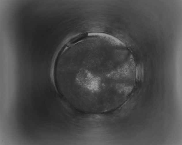 X0000100910195200807151146