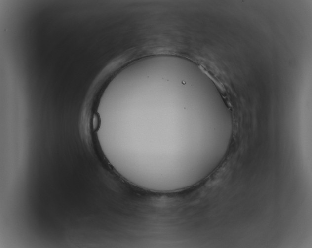 X0000100910197200807151146