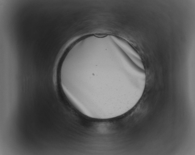 X0000100910200200807151146