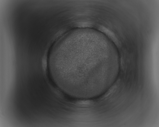 X0000100910202200807151146