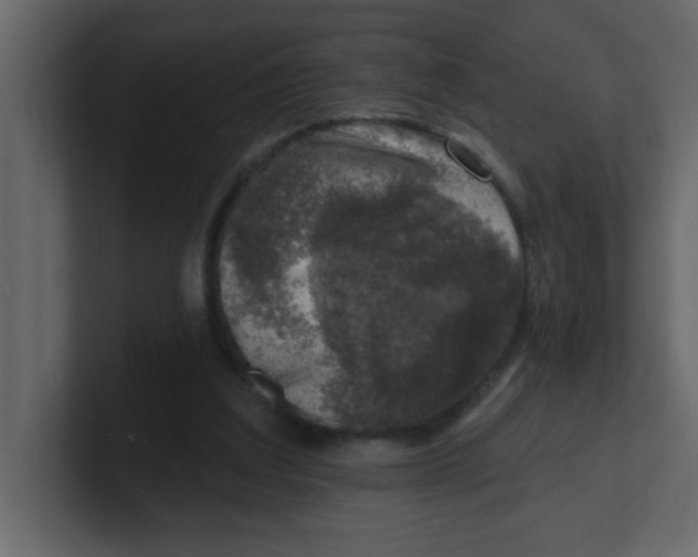 X0000100910203200807151146