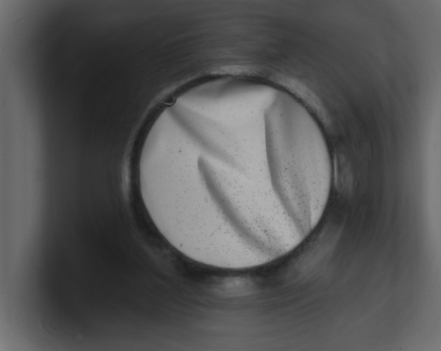 X0000100910204200807151146