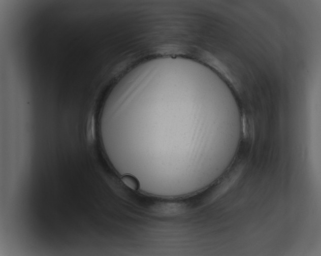 X0000100910205200807151146