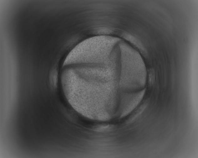 X0000100910206200807151146