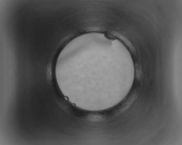 X0000100910207200807151146