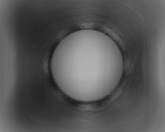 X0000100910209200807151146