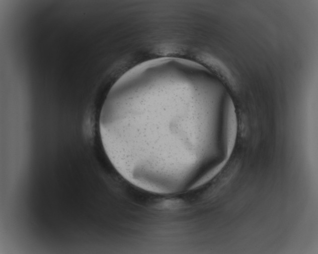 X0000100910210200807151146