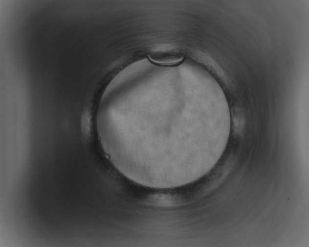 X0000100910211200807151146