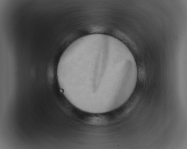 X0000100910215200807151145