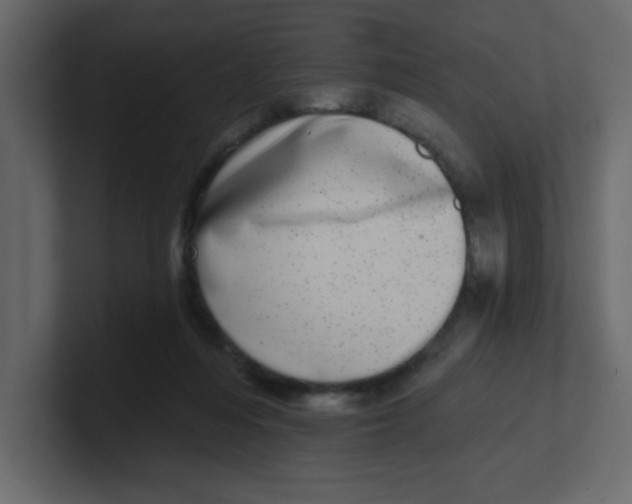 X0000100910216200807151145