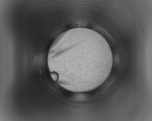 X0000100910218200807151145