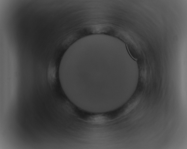 X0000100910219200807151145