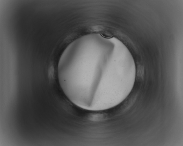 X0000100910220200807151145