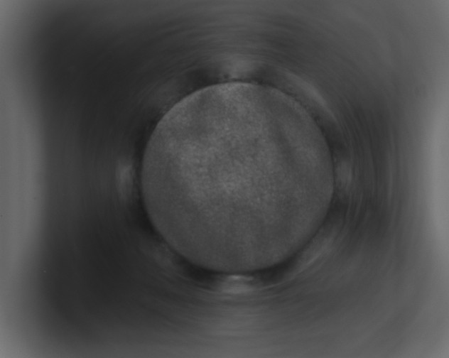 X0000100910222200807151145