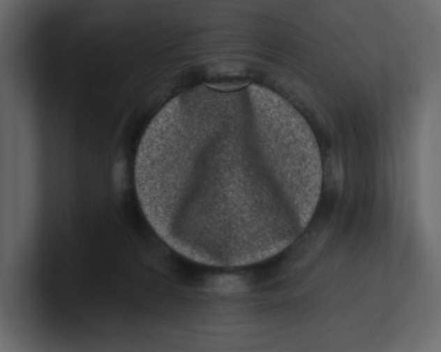 X0000100910224200807151145