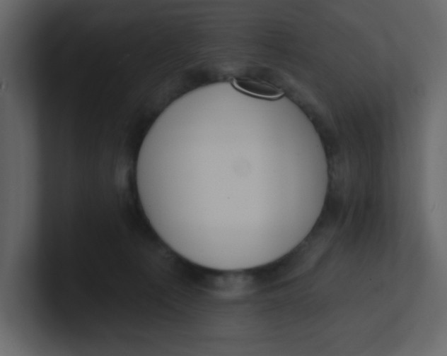 X0000100910225200807151145